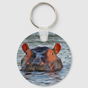 Chaveiro Wildlife Hippo Water Photo