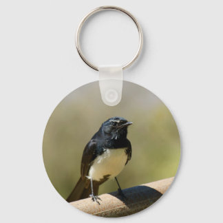 Chaveiro Willie Wagtail