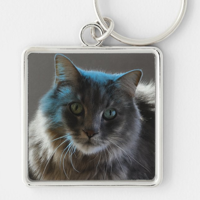 Chaveiro Willy Boy Majestic Long-Haired Grey Cat (Frente)
