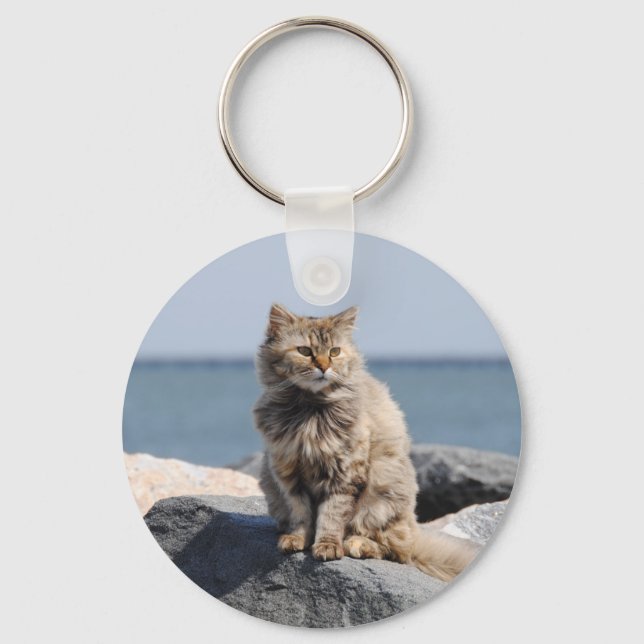 Chaveiro Windswept Cat by the Sea Cute Photo (Frente)