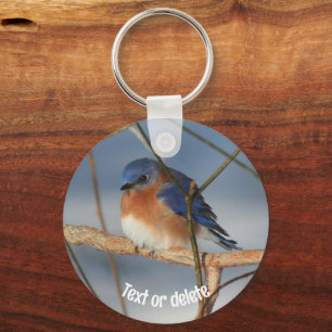 Chaveiro Winter Bluebird Animal Personalizado