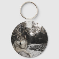 Wolf Woodland Animal Forest