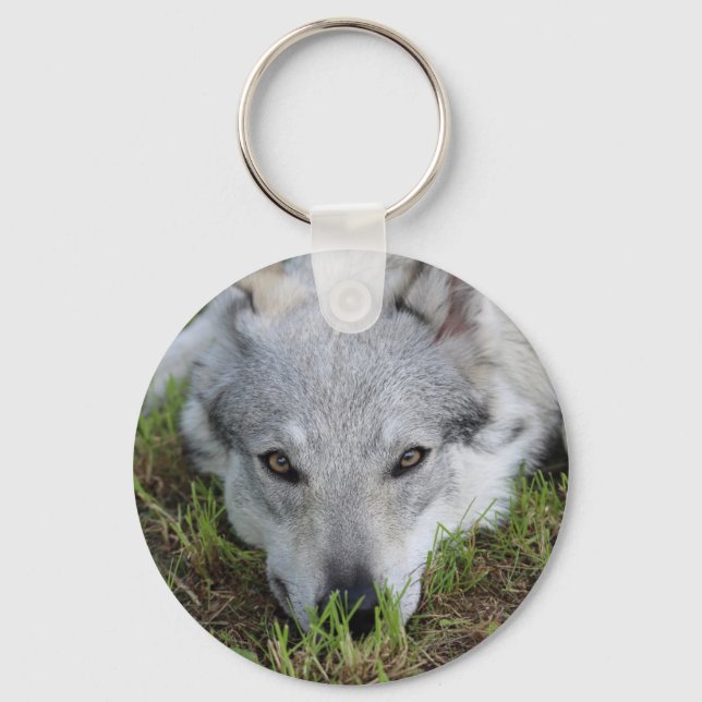 Chaveiro Wolfdog checoslovaco (Frente)