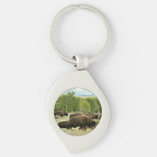 Chaveiro Wyoming Bison Nature