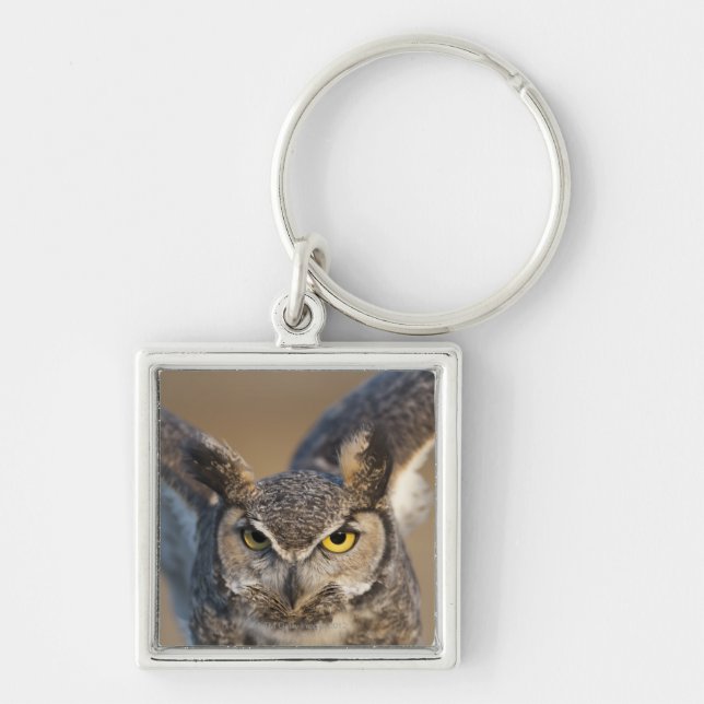 Chaveiro Wyoming, EUA (Frente)