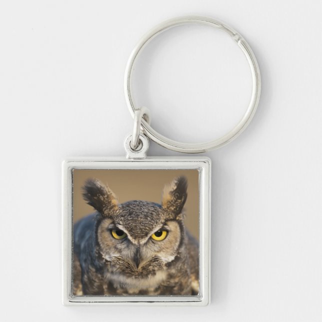 Chaveiro wyoming, EUA (Frente)