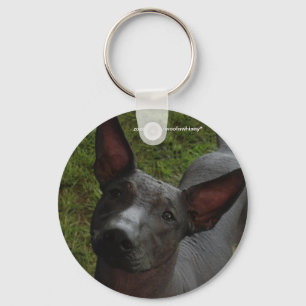 Chaveiro Xoloitzcuintli