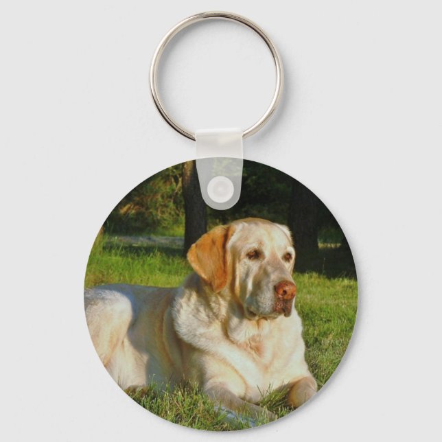 Chaveiro Yellow Labrador Retriever (Frente)