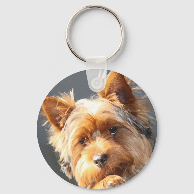 Chaveiro yorkie (Frente)