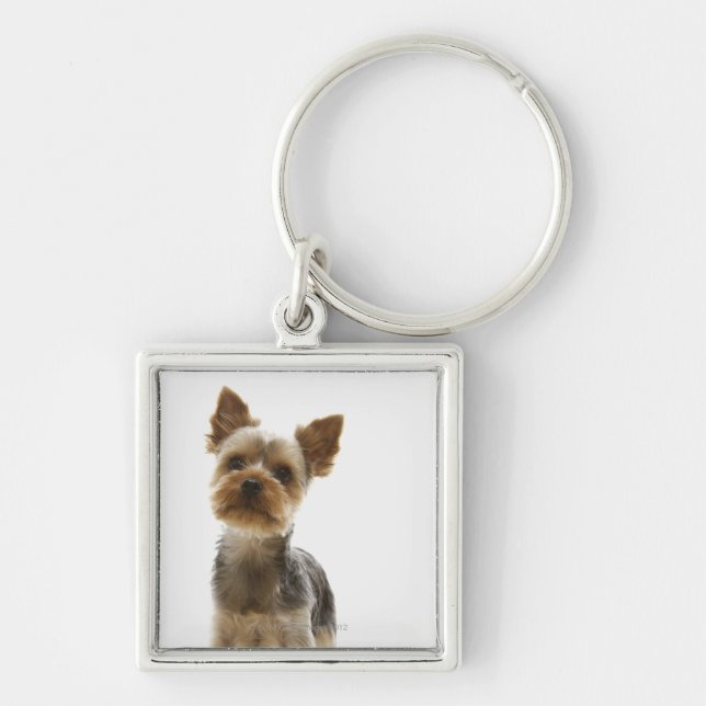 Chaveiro Yorkshire terrier (Frente)