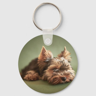 Chaveiro Yorkshire Terrier
