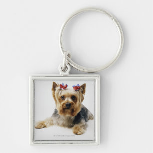 Chaveiro Yorkshire terrier que veste arcos vermelhos