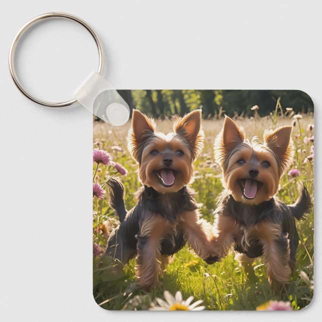 Chaveiro Yorkshire Terriers jogando na grama (Frente)