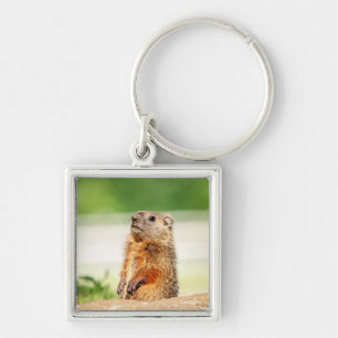 Chaveiro Young Groundhog