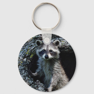Chaveiro Young Raccoon