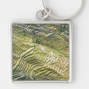 Chaveiro Yuanyang Rice Terraces, Yunnan - China