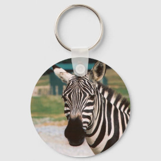 CHAVEIRO ZEBRA