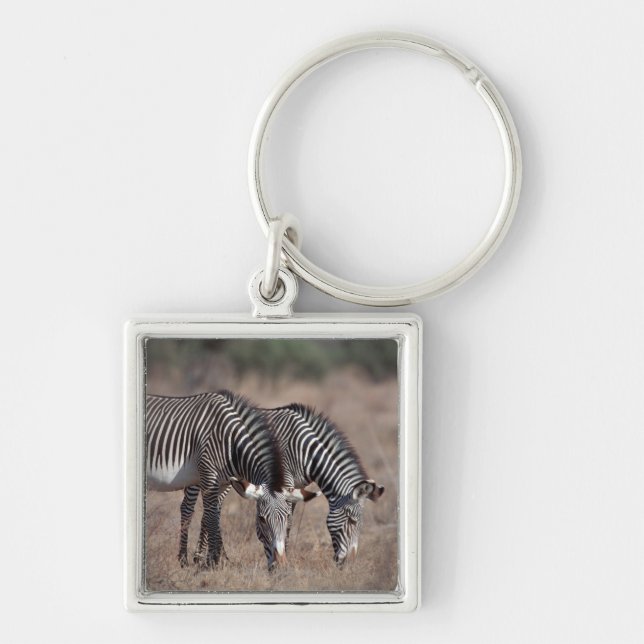Chaveiro Zebra (Frente)