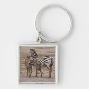 Chaveiro Zebra 3 de Grant