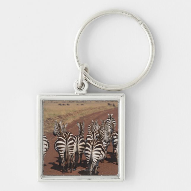 Chaveiro Zebra 4 de Grant (Frente)