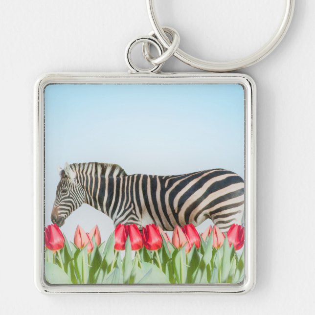 Chaveiro Zebra entre as Tulipas (Frente)