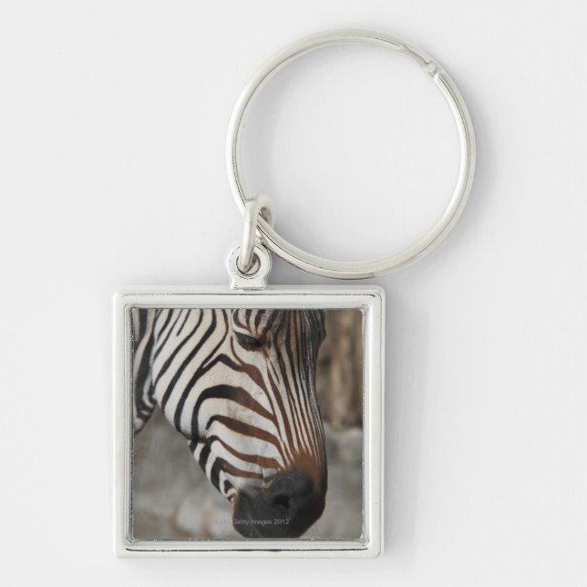 Chaveiro Zebra, fim-acima (Frente)