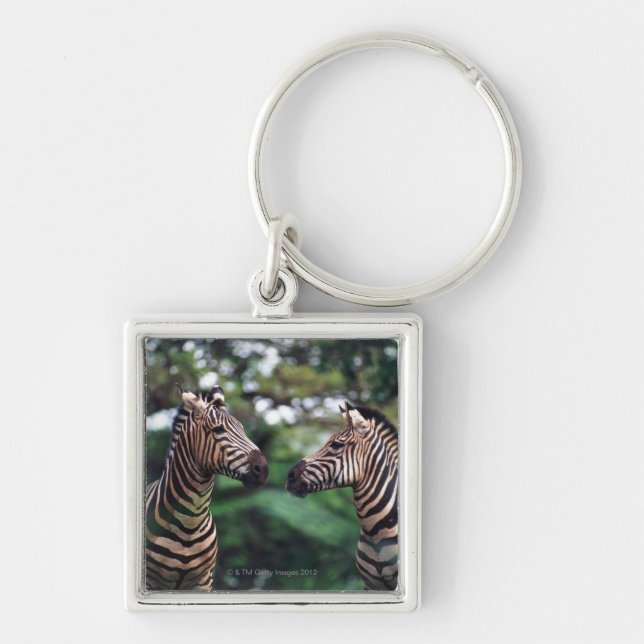 Chaveiro zebras (Frente)