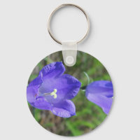 Zwei blaue Glockenblumen