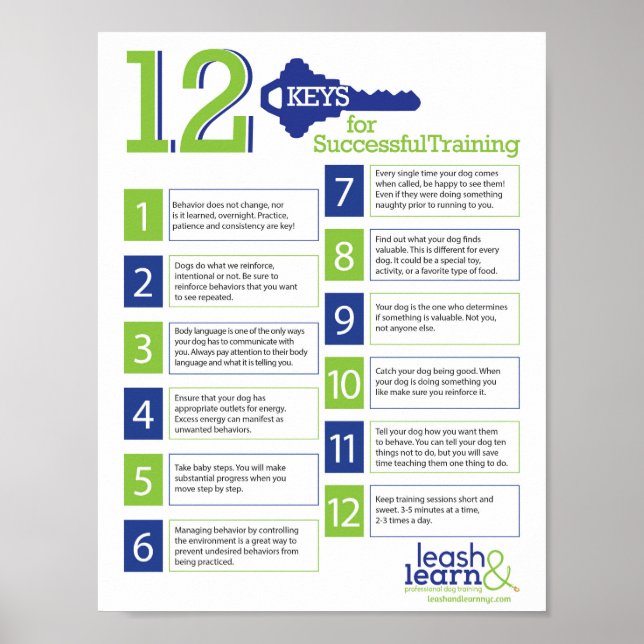 Chaves para o Poster de Treinamento de Cachorro Be (Frente)