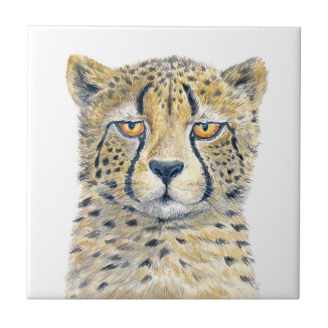 Cheetah (Frente)