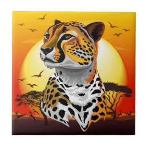 Cheetah African Feline Wild Animal