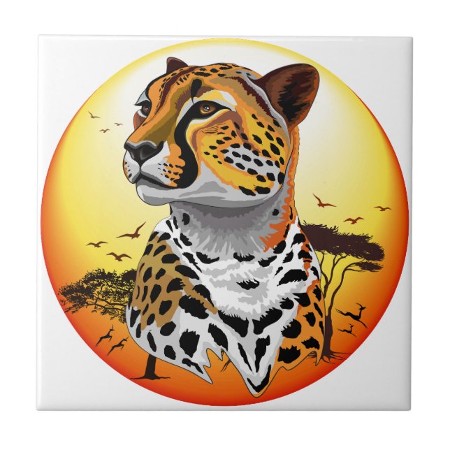 Cheetah African Feline Wild Animal (Frente)