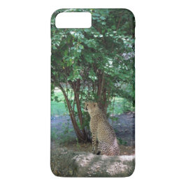 Cheetah capas de iphone
