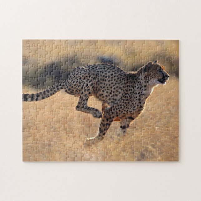 Cheetah em ação, Quebra-cabeça de Jigsen (Horizontal)