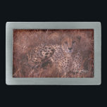Cheetah Stare<br><div class="desc">As Fotos Impressões e presentes de Cheetah Stare Nature apresentam uma bela fotografia de chita selvagem deitada na grama olhando para você em uma tarde ensolarada na África, tirada por Kurt Keller com uma câmera de 35 mm enquanto estava em um safari africano em Botswana, África do Sul e Zimbábue....</div>