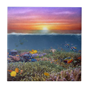 Chef de Coral Sunset