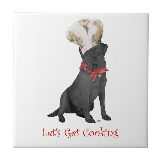 Chef Labrador Retriever Preto (Frente)