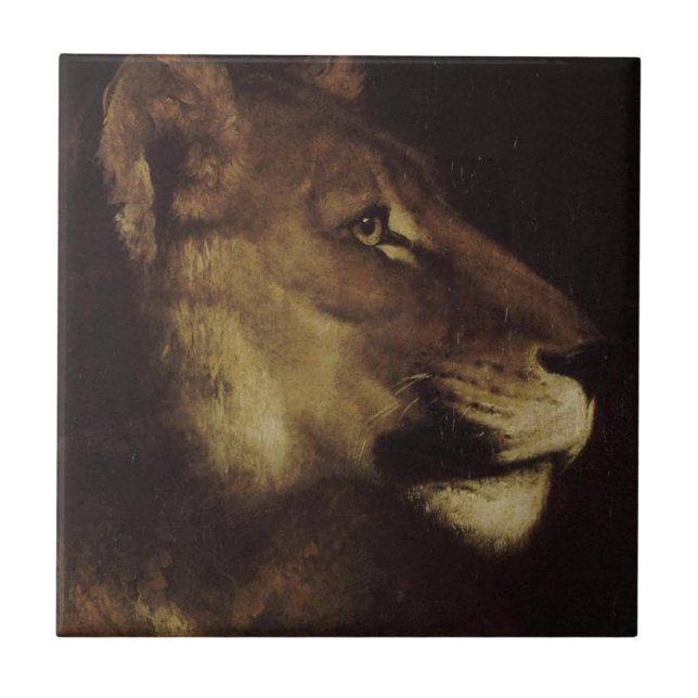 Chefe de Leão (Animal Selvagem) (Frente)