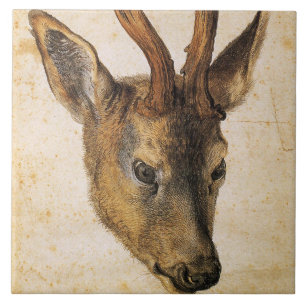Chefe de Stag (Wild Animal) (por Albrecht Durer)