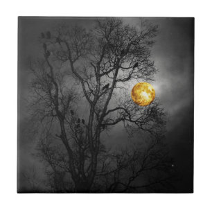 Cheio da árvore dos corvos com uma lua completa