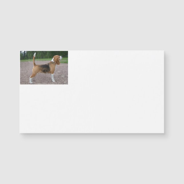 cheio do beagle 2.png (Frente)