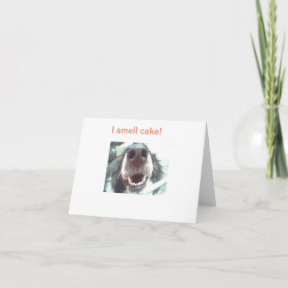 "Cheira bolo!" Cartão de Aniversário do Nariz Cani