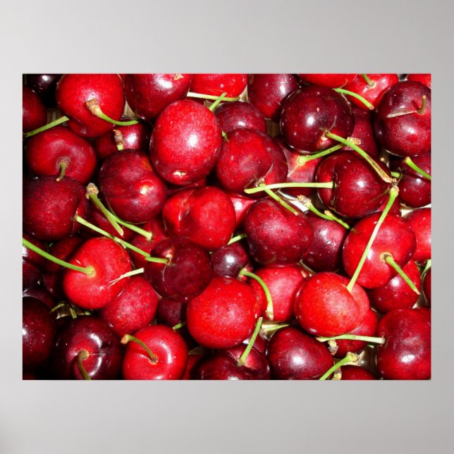 Cherries Poster (Frente)