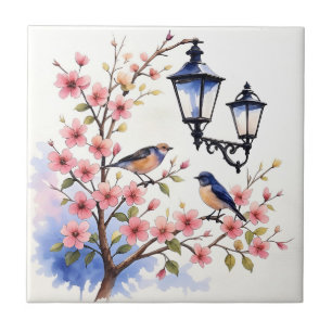 Cherry Blossom