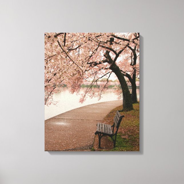 Cherry Blossom Canvas (Frente)