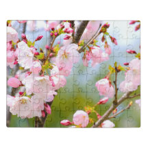 Cherry Blossom Close