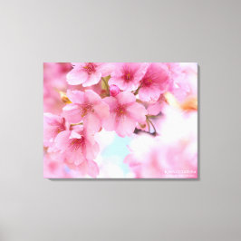 Cherry blossom"Kawazu-zakura":Premium Canvas