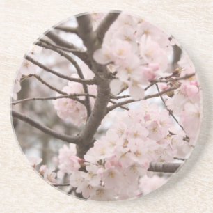 Cherry Blossom Porta copos