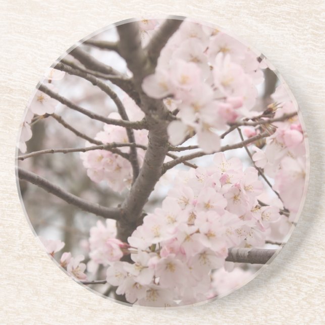 Cherry Blossom Porta copos (Frente)