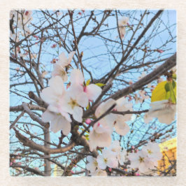 Cherry Blossom Porta copos